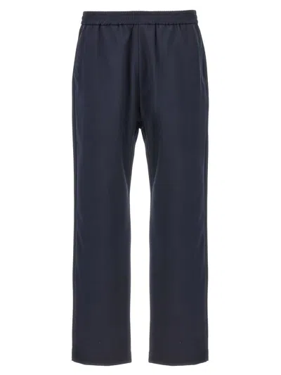 Barena Venezia Barena Tosador Straight-leg Pants In Blue