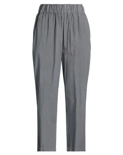 Barena Venezia Barena Woman Pants Grey Size 12 Cotton In Gray