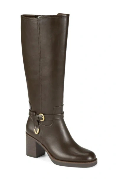 Baretraps Glenette Tall Boot In Brown