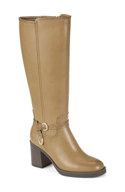 Baretraps Glenette Tall Boot In Brown
