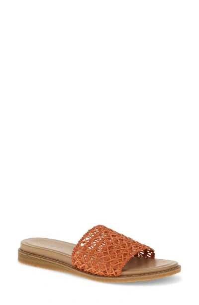 Baretraps Noya Slide Sandal In Orange Aid