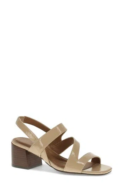 Baretraps Posha Block Heel Sandal In Latte