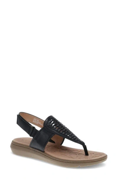 Baretraps Quincy T-strap Sandal In Black