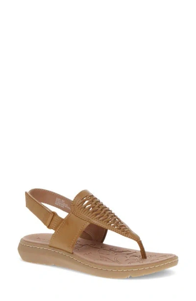 Baretraps Quincy T-strap Sandal In Caramel