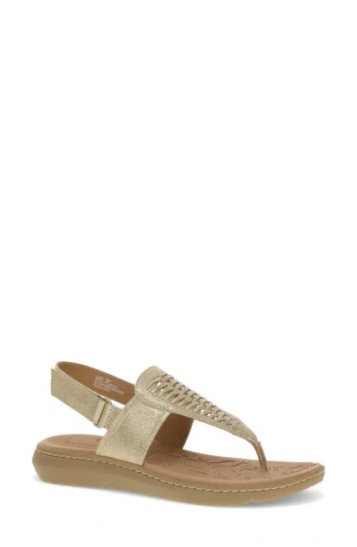 Baretraps Quincy T-strap Sandal In Old Gold