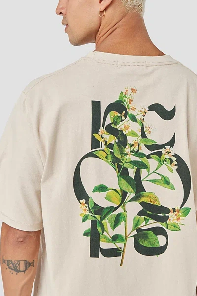 Barney Cools Botanic Oversized Recycled Cotton Tee In Sandstone, Men's At Urban Outfitters