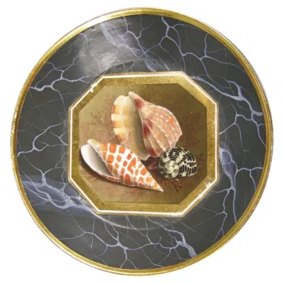 Pre-owned Barr, Flight & Barr Worcester 19th C Worcester Porcelain Flight Barr Conchological Sea Shell Saucer Plate 1805 In Gray