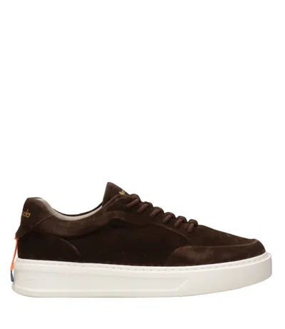 Barracuda Sneakers Brown