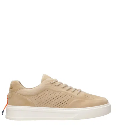 Barracuda Sneakers Desert In Brown