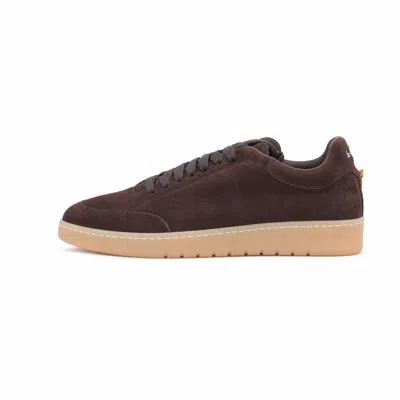 Barracuda Sneakers In Moro Marrone