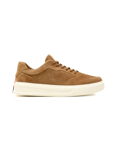 Barracuda Sneakers In Multi