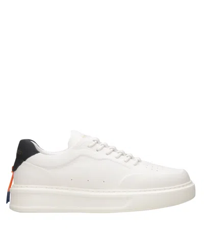 Barracuda Sneakers White