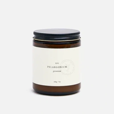 Barratt Riley & Co. Pelargonium Botanical Candle In Multi
