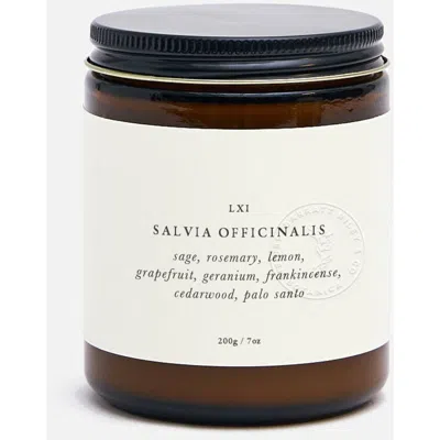 Barratt Riley & Co. Salvia Officinalis Botanical Candle In Transparent