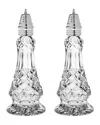 Barski Salt & Pepper Shaker Set In Clear