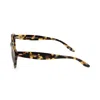 Barton Perreira Bp00232gy-tortoise In 2gy-tortoise