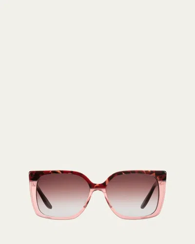 Barton Perreira Vanity Square Acetate Sunglasses In Pink
