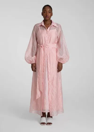 Baruni Lobelia Dress In Pink