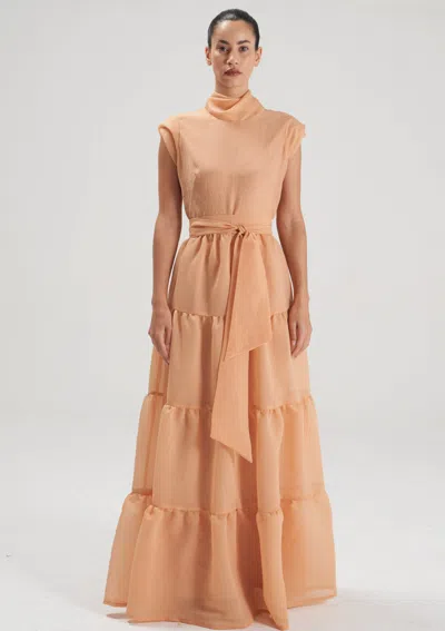 Baruni Tsai Dress