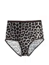 Baserange Bell High-waisted Briefs In Multi