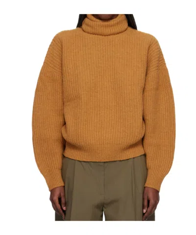 Baserange Long-sleeved Turtleneck Sweater In Brown