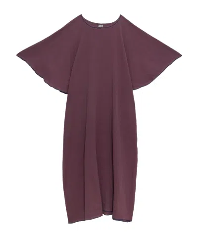 Baserange Loose Dress In Purple