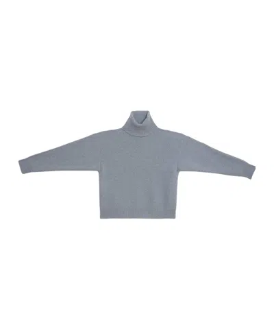 Baserange Turtleneck Sweater In Gray