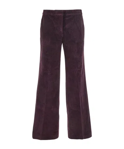 Bash Belt Loop Casual Pants In Purple