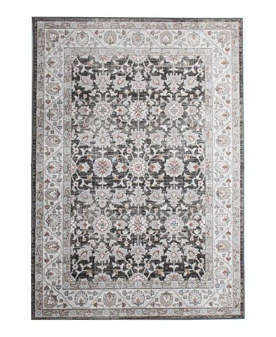 Bashian Ashland Ash313 Area Rug, 5' X 7'6
