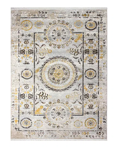 Bashian Century C192 Area Rug, 7'9 X 9'9 In Beige