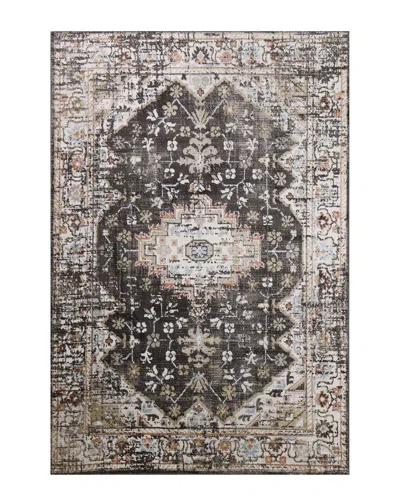 Bashian Rugs Bashian Ashland Bruno Area Rug In Charcoal