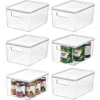 Basic Pantry Bin With Removable Lid In Transparent