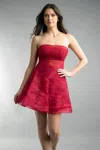 Basix Black Label Baby Doll Cocktail Dress In Red