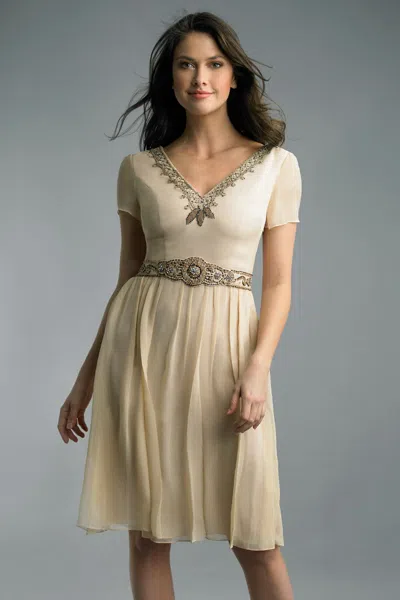 Basix Black Label Beaded V-neck Pleated Cocktail Dress In Multi