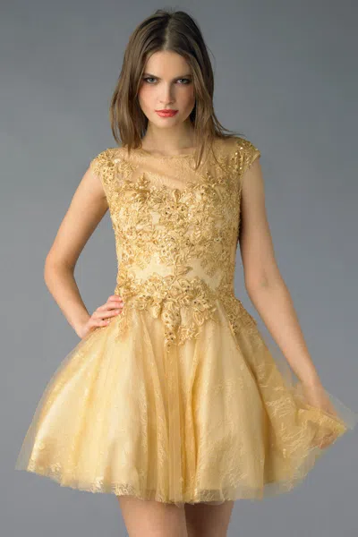 Basix Black Label Cap Sleeve Lace And Tulle Cocktail Dress