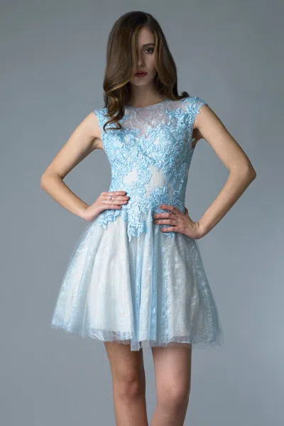 Basix Black Label Cap Sleeve Lace And Tulle Cocktail Dress
