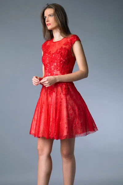 Basix Black Label Cap Sleeve Lace And Tulle Cocktail Dress