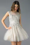 Basix Black Label Cap Sleeve Lace And Tulle Cocktail Dress
