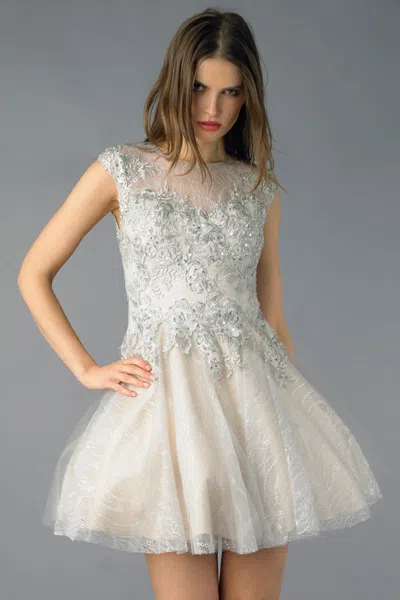 Basix Black Label Cap Sleeve Lace And Tulle Cocktail Dress