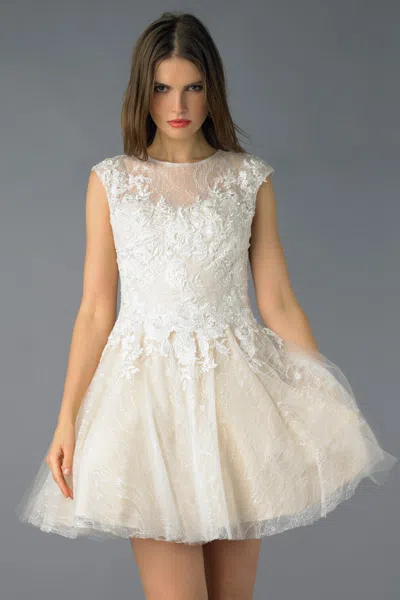 Basix Black Label Cap Sleeve Lace And Tulle Cocktail Dress In Neutral