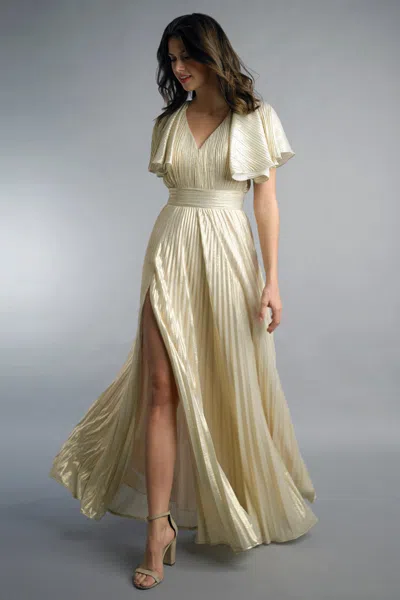 Basix Black Label Capelet Sleeve Pleasted Gown
