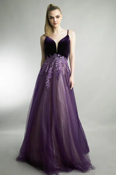 Basix Black Label Embroidered Velvet Tulle A-line Gown In Purple