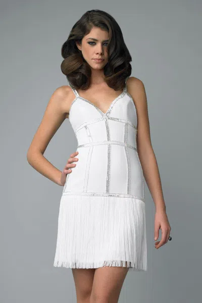 Basix Black Label Fringed Art Deco Cocktail Dress