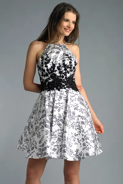Basix Black Label Halter Top Print Cocktail Dress