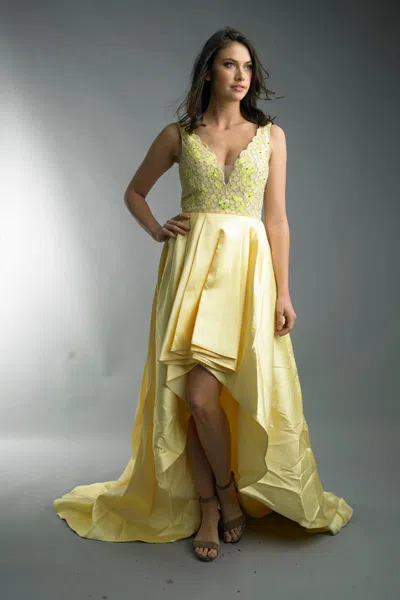 Basix Black Label Hi Lo Evening Gown In Yellow