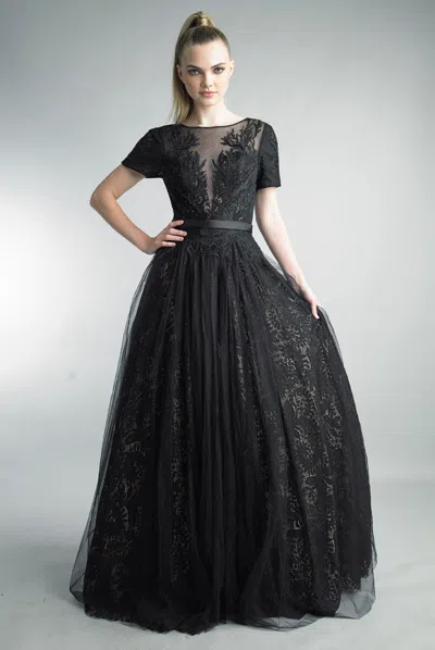 Basix Black Label Illusion Burnout Lace Ball Gown In Black