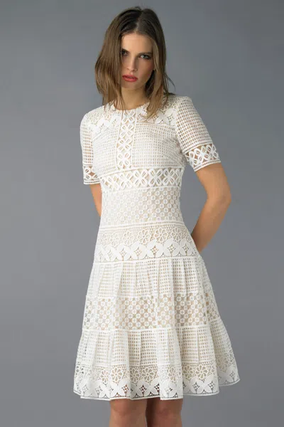 Basix Black Label Lace A-line Dress In Multi
