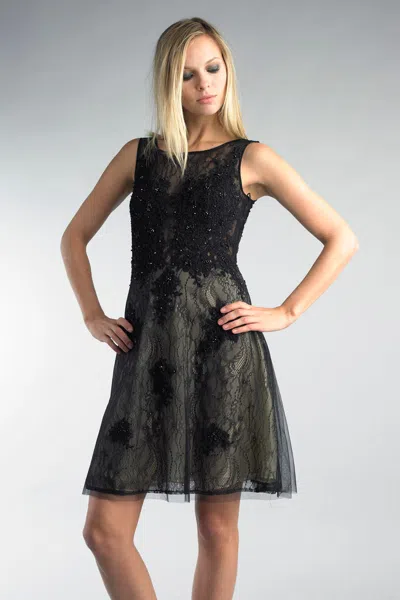Basix Black Label Lace Flare Cocktail Dress