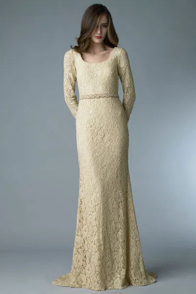 Basix Black Label Lace Long-sleeve Gown In White