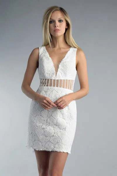 Basix Black Label Lace V-neck Dress In White